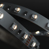 Tagra | Professional LED Strip Light | 60 LEDs p/m | 24V | IP20 | 19.2W/m | RGB+W | 5M Reel - TP24-RGBW-StripLight-ON.jpg