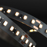 Tagra | Long Run LED Strip Light | 120 LEDs p/m | 24V | IP20 | 9.6W/m | 20M Reel - AL24-20M-StripLight-ON.jpg