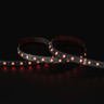 Tagra | Economy LED Strip Light | 60 LEDs p/m | 24V | IP20 | 19.2W/m | RGB+W | 5 & 50M Reels - TE24-RGBW-StripLight-RED.jpg