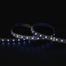 Tagra | Economy LED Strip Light | 60 LEDs p/m | 24V | IP20 | 19.2W/m | RGB+W | 5 & 50M Reels - TE24-RGBW-StripLight-BLUE.jpg