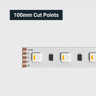 Tagra | Economy LED Strip Light | 60 LEDs/m | 24V | IP20 | 19.2W/m | RGB+W | 5 & 50M Reels - TE24-RGBW-StripLight-CUT.jpg