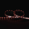 Tagra | Economy LED Strip Light | 60 LEDs p/m | 12V | IP65 | 14.4Wp/m | RGB | 5 & 50M Reels - TE12-RGB-IP-StripLight-RED.jpg