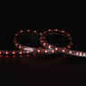 Tagra | Economy LED Strip Light | E-60 | 60 LEDs/m | 12V | IP65 | 14.4W/m | RGB | 5 & 50M Reels - TE12-RGB-IP-StripLight-RED.jpg