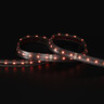 Tagra | Economy LED Strip Light | 60 LEDs p/m | 24V | IP65 | 19.2W/m | RGB+W | 5 & 50M Reels  - TE24-RGBW-IP-StripLight-RED.jpg