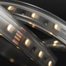 Tagra | Economy LED Strip Light | 60 LEDs p/m | 24V | IP65 | 19.2W/m | RGB+W | 5 & 50M Reels  - TE24-RGBW-IP-StripLight-ON.jpg