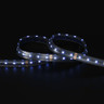 Tagra | Economy LED Strip Light | E-60 | 60 LEDs/m | 24V | IP65 | 19.2W/m | RGB+W | 5 & 50M Reels - TE24-RGBW-IP-StripLight-BLUE.jpg