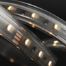 Tagra | Economy LED Strip Light | 60 LEDs/m | 24V | IP65 | 19.2W/m | RGB+W | 5 & 50M Reels  - TE24-RGBW-IP-StripLight-ON.jpg