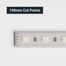 Tagra | Economy LED Strip Light | 60 LEDs/m | 24V | IP65 | 19.2W/m | RGB+W | 5 & 50M Reels  - TE24-RGBW-IP-StripLight-CUT.jpg
