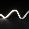 Tagra | Pro LED Neon Flex | Dual 16 | 16x16mm | CCT Tunable White 2300-6000K | 24V | IP67 | 15.4W/m | 30M Reel - NEONDUAL1616-CCT-COIL.jpg