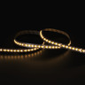 Tagra | Precision LED Strip Light | 240 LEDs/m | 24V | IP20 | 24W/m | CCT | 5 & 50M Reels - PP24-236K240-StripLight-27K.jpg
