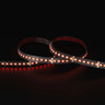 Tagra | Precision LED Strip Light | 240 LEDs p/m | 24V | IP20 | 20W/m | RGB+W | 5 & 50M Reels - PP24-RGBW240-StripLight-RED.jpg
