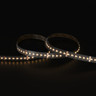 Tagra | Precision LED Strip Light | 240 LEDs/m | 24V | IP20 | 20W/m | RGB+W | 5 & 50M Reels - PP24-RGBW240-StripLight-27K.jpg
