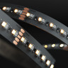 Tagra | Precision LED Strip Light | 240 LEDs/m | 24V | IP20 | 22W/m | RGB+W | 5 & 50M - PP24-RGBW240-StripLight-ON.jpg