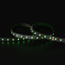 Tagra | Pro LED Strip Light | 60 LEDs/m | 24V | IP20 | 19.2W/m | RGB+W | 5 & 50M Reels - PS24-RGBW60-StripLight-GREEN.jpg