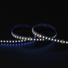 Tagra | Pro LED Strip Light | 112 LEDs p/m | 24V | IP20 | 31W/m | RGB+CCT | 5 & 50M Reels - PS24-RGBCCT-StripLight-BLUE.jpg