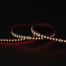 Tagra | Pro LED Strip Light | 112 LEDs/m | 24V | IP20 | 31W/m | RGB+CCT | 5 & 50M Reels - PS24-RGBCCT-StripLight-RED.jpg
