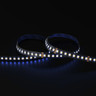 Tagra | Pro LED Strip Light | Pro SMD | 112 LEDs/m | 24V | IP20 | 31W/m | RGB+CCT | 5 & 50M Reels - PS24-RGBCCT-StripLight-BLUE.jpg