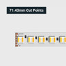 Tagra | Pro LED Strip Light | Pro SMD | 112 LEDs/m | 24V | IP20 | 34W/m | RGB+CCT | 5 & 50M - PS24-RGBCCT-StripLight-CUT.jpg