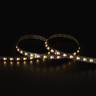 Tagra | Pro LED Strip Light | 140 LEDs p/m | 24V | IP20 | 14.4W/m | CCT | 5 & 50M Reels - PS24-236K140-StripLight-27K.jpg