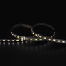 Tagra | Pro LED Strip Light | Pro SMD | 140 LEDs/m | 24V | IP20 | 14.3W/m | CCT | 5 & 50M - PS24-236K140-StripLight-6K.jpg