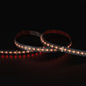 Tagra | Precision LED Strip Light | 288 LEDs p/m | 24V | IP20 | 18W/m | RGB+CCT | 5 & 50M Reels - PP24-RGB2365K288-StripLight-RED.jpg