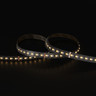 Tagra | Precision LED Strip Light | 288 LEDs/m | 24V | IP20 | 19.8W/m | RGB+CCT | 5 & 50M - PP24-RGB2365K288-StripLight-27K.jpg