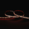 Tagra | Precision LED Strip Light | 288 LEDs/m | 24V | IP20 | 19.8W/m | RGB+CCT | 5 & 50M - PP24-RGB2365K288-StripLight-RED.jpg