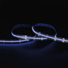 Tagra | Precision | LED Strip Light | 240 LEDs p/m | 24V | IP20 | 14.4Wp/m | RGB | 5M Reel - PP24-RGB240-StripLight-BLUE.jpg