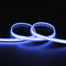 Tagra | Pro COB LED Strip Light | 840 LEDs p/m | 24V | IP67 | 15.8W/m | RGB | 5 & 50M Reels - PC24-RGB-67-StripLight-BLUE.jpg