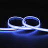 Tagra | Pro COB LED Strip Light | 840 LEDs/m | 24V | IP67 | 18.5W/m | RGB | 5 & 50M Reels - PC24-RGB-67-StripLight-BLUE.jpg
