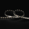 Tagra | Pro LED Strip Light | Pro SMD | 140 LEDs/m | 24V | IP67 | 14.3W/m | CCT | 5 & 50M - PS24-236K140-IP-StripLight-6K.jpg