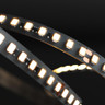 Tagra | Efficiency LED Strip Light | Long Run | 160 LEDs p/m | 24V | IP20 | 3.3W/m | 20M Reels - EP24-20M-StripLight-ON.jpg