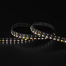 Tagra | Precision LED Strip Light | 252 LEDs p/m | 24V | IP20 | 49.5W/m | RGB+2700-6500K | 5M Reel - PP24-DR-RGBCCT-StripLight-6K.jpg