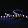 Tagra | Precision LED Strip Light | 252 LEDs p/m | 24V | IP20 | 49.5W/m | RGB+2700-6500K | 5M Reel - PP24-DR-RGBCCT-StripLight-BLUE.jpg