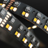 Tagra | Precision LED Strip Light | 252 LEDs p/m | 24V | IP20 | 49.5W/m | RGB+2700-6500K | 5M Reel - PP24-DR-RGBCCT-StripLight-ON.jpg