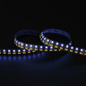 Tagra | Precision LED Strip Light | 252 LEDs p/m | 24V | IP20 | 49.5Wp/m | RGB+2700-6500K | 5M Reel - PP24-DR-RGBCCT-StripLight-BLUE.jpg