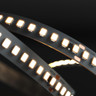 Tagra | Efficiency LED Strip Light | 180 LEDs p/m | 24V | IP20 | 4.4W/m | 5 & 50M Reels - EP24-180-StripLight-ON.jpg