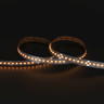 Tagra | Pro LED Strip Light | Dim to Warm | 252 LEDs p/m | 24V | IP20 | 16.5 | 1800-3000K | 5M Reel - PS24-DTW-StripLight-24K.jpg