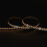 Tagra | Pro LED Strip Light | Dim to Warm | 252 LEDs p/m | 24V | IP20 | 16.5 | 1800-3000K | 5M Reel - PS24-DTW-StripLight-3K.jpg