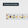 Tagra | Pro LED Strip Light | Dim to Warm | 252 LEDs p/m | 24V | IP20 | 16.5 | 1800-3000K | 5M Reel - PS24-DTW-StripLight-CUT.jpg