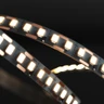 Tagra | Pro LED Strip Light | Pro SMD | 160 LEDs/m | 24V | IP20 | 15.8W/m | 5 & 50M Reels - PS24-160-StripLight-ON.jpg