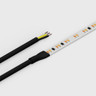 Cut to Size by Tagra | Pro LED Strip Light | 140 LEDs/m | 24V | IP20 | 14.4W/m | CCT | Custom - CTO-PS24-CCT_STRIPWIRE.jpg