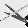 Cut to Size by Tagra | Pro LED Strip Light | Pro SMD | 140 LEDs/m | 24V | IP20 | 14.3W/m | CCT - CTO-PS24-CCT_CUT.jpg