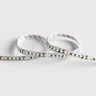 Tagra | Pixel LED Strip Light | 120 LEDs p/m | 20 pixels p/m | 24V | IP20 | 30W/m | RGB+W | 5M - TD24-RGBW120-StripLight-OFF.jpg