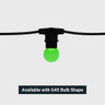 Tagra | Core Series | Connectable LED Festoon String | Black | IP44 | MULTI & RGB - FEST-MULTI-B_BULBS.jpg