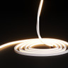 Tagra | Pro LED Neon Flex | Dual 10 | Cut Anywhere | 10x10mm | 3000K | 24V | IP67 | 4.95Wp/m | 5M - NEONDUAL1010-C-4000K.jpg