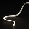 Tagra | Pro LED Neon Flex | Dual 10 | Cut Anywhere | 10x10mm | 3000K | 24V | IP67 | 4.95Wp/m | 5M - NEONDUAL1010-Z-D-4000K.jpg