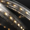 Tagra | Precision Pro LED Strip Light | 288 LEDs p/m | 24V | IP67 | 19.8W/m | RGB+2700-6500K | 5 & 30M Reels - PP24-RGBCCT-67-StripLight-ON.jpg
