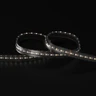 Tagra | Precision Pro LED Strip Light | 288 LEDs p/m | 24V | IP67 | 19.8W/m | RGB+2700-6500K | 5 & 30M Reels - PP24-RGBCCT-67-StripLight-6K.jpg
