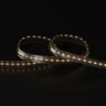 Tagra | Precision Pro LED Strip Light | 288 LEDs p/m | 24V | IP67 | 19.8W/m | RGB+2700-6500K | 5 & 30M Reels - PP24-RGBCCT-67-StripLight-27K.jpg